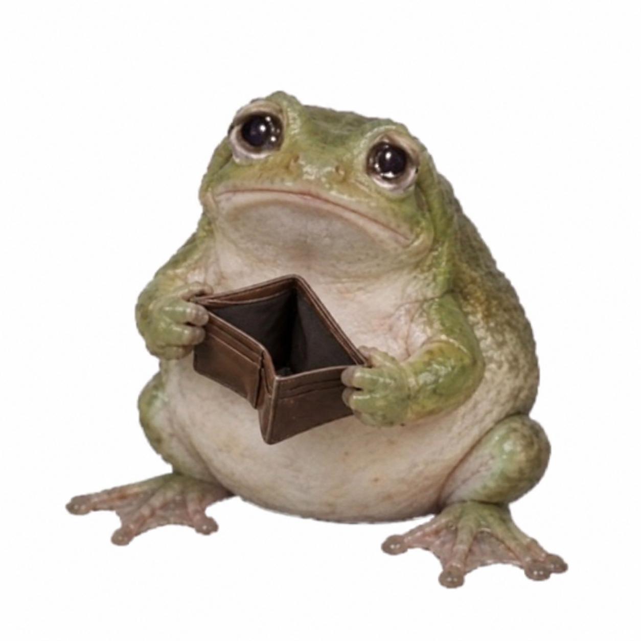 Original Cash Frog holding his empty wallet